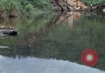 Image of Marines in Vietnam Operation Prairie Vietnam, 1966, second 24 stock footage video 65675031453
