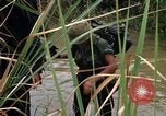 Image of Marines in Vietnam Operation Prairie Vietnam, 1966, second 55 stock footage video 65675031453