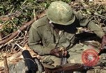 Image of United States Marines in Vietnam Vietnam, 1966, second 10 stock footage video 65675031454