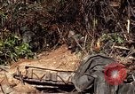 Image of United States Marines in Vietnam Vietnam, 1966, second 19 stock footage video 65675031454