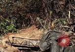 Image of United States Marines in Vietnam Vietnam, 1966, second 20 stock footage video 65675031454