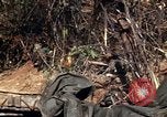 Image of United States Marines in Vietnam Vietnam, 1966, second 22 stock footage video 65675031454