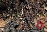 Image of United States Marines in Vietnam Vietnam, 1966, second 23 stock footage video 65675031454