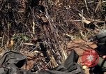 Image of United States Marines in Vietnam Vietnam, 1966, second 24 stock footage video 65675031454