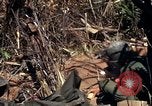 Image of United States Marines in Vietnam Vietnam, 1966, second 25 stock footage video 65675031454