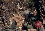 Image of United States Marines in Vietnam Vietnam, 1966, second 26 stock footage video 65675031454