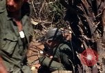 Image of United States Marines in Vietnam Vietnam, 1966, second 27 stock footage video 65675031454