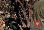 Image of United States Marines in Vietnam Vietnam, 1966, second 28 stock footage video 65675031454