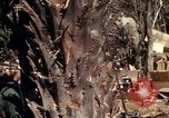 Image of United States Marines in Vietnam Vietnam, 1966, second 29 stock footage video 65675031454