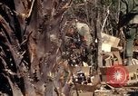 Image of United States Marines in Vietnam Vietnam, 1966, second 30 stock footage video 65675031454