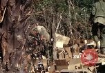 Image of United States Marines in Vietnam Vietnam, 1966, second 31 stock footage video 65675031454