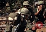 Image of United States Marines in Vietnam Vietnam, 1966, second 44 stock footage video 65675031454