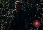 Image of United States Marines in Vietnam Vietnam, 1966, second 46 stock footage video 65675031454