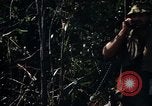 Image of United States Marines in Vietnam Vietnam, 1966, second 49 stock footage video 65675031454