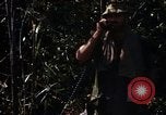 Image of United States Marines in Vietnam Vietnam, 1966, second 50 stock footage video 65675031454