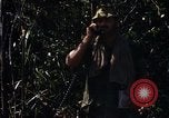 Image of United States Marines in Vietnam Vietnam, 1966, second 51 stock footage video 65675031454