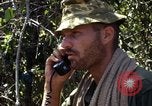 Image of United States Marines in Vietnam Vietnam, 1966, second 54 stock footage video 65675031454