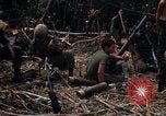 Image of United States Marines Vietnam, 1966, second 3 stock footage video 65675031455