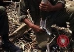Image of United States Marines Vietnam, 1966, second 8 stock footage video 65675031455