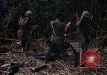 Image of United States Marines Vietnam, 1966, second 14 stock footage video 65675031455