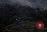 Image of United States Marines Vietnam, 1966, second 49 stock footage video 65675031455