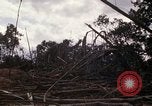Image of United States Marines Vietnam, 1966, second 55 stock footage video 65675031455