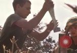 Image of United States Marines Vietnam, 1966, second 57 stock footage video 65675031455