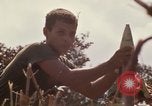Image of United States Marines Vietnam, 1966, second 59 stock footage video 65675031455