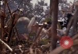 Image of United States Marines Vietnam, 1966, second 61 stock footage video 65675031455