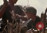 Image of United States Marines Vietnam, 1966, second 62 stock footage video 65675031455
