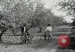 Image of advancements in transportation early 1900s New York City USA, 1927, second 55 stock footage video 65675031458