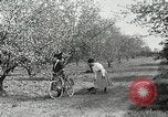 Image of advancements in transportation early 1900s New York City USA, 1927, second 60 stock footage video 65675031458
