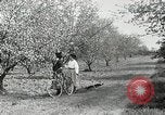 Image of advancements in transportation early 1900s New York City USA, 1927, second 61 stock footage video 65675031458