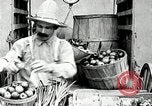 Image of automobile United States USA, 1927, second 9 stock footage video 65675031460