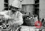 Image of automobile United States USA, 1927, second 12 stock footage video 65675031460
