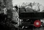 Image of trucks and vans United States USA, 1927, second 19 stock footage video 65675031465
