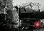 Image of trucks and vans United States USA, 1927, second 20 stock footage video 65675031465