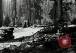 Image of Mount Hood National Forest Oregon United States USA, 1929, second 18 stock footage video 65675031473
