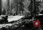 Image of Mount Hood National Forest Oregon United States USA, 1929, second 19 stock footage video 65675031473