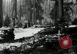 Image of Mount Hood National Forest Oregon United States USA, 1929, second 20 stock footage video 65675031473