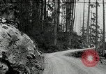Image of Mount Baker Highway Washington State United States USA, 1929, second 12 stock footage video 65675031474
