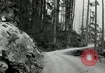 Image of Mount Baker Highway Washington State United States USA, 1929, second 14 stock footage video 65675031474