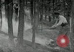 Image of fire fighting United States USA, 1929, second 16 stock footage video 65675031475