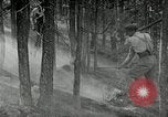 Image of fire fighting United States USA, 1929, second 17 stock footage video 65675031475