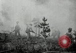 Image of fire fighting United States USA, 1929, second 41 stock footage video 65675031475