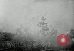 Image of fire fighting United States USA, 1929, second 43 stock footage video 65675031475