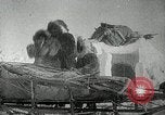 Image of community housing United States USA, 1936, second 29 stock footage video 65675031482