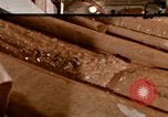 Immagine di Oceanic sondaggio laboratorio nave Oceano Pacifico, 1963, secondo 1 filmato di repertorio 65675031522