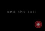 Standbild V-2 Rakete New Mexico United States USA, 1945, aus Sekunde 44 historischem Filmmaterial Videoclip 65675031551