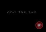 Standbild V-2 Rakete New Mexico United States USA, 1945, aus Sekunde 45 historischem Filmmaterial Videoclip 65675031551